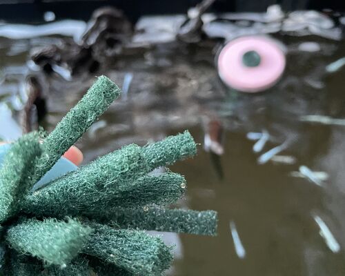 IMG-0262